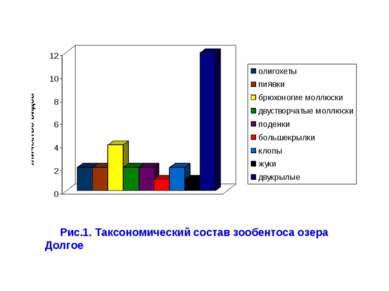 Рис.1. Таксономический состав зообентоса озера Долгое