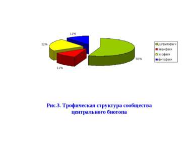 Рис.3. Трофическая структура центрального биотопа Рис.3. Трофическая структур...