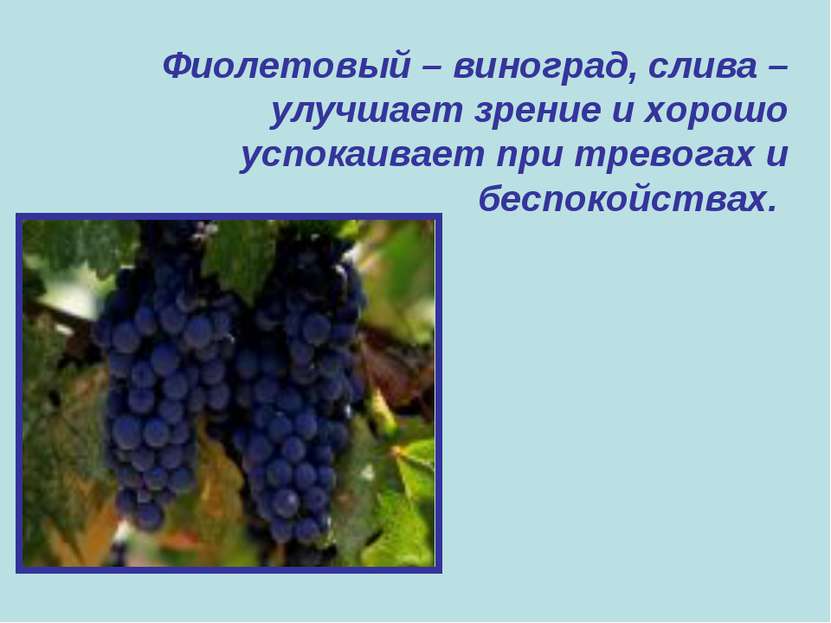 Фиолетовый – виноград, слива – улучшает зрение и хорошо успокаивает при трево...