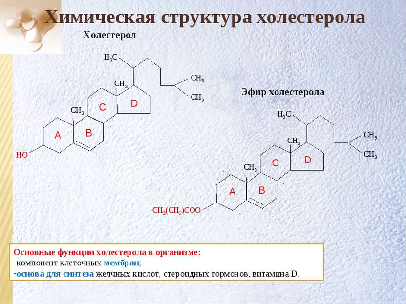 Химическая структура холестерола D C B A Основные функции холестерола в орган...