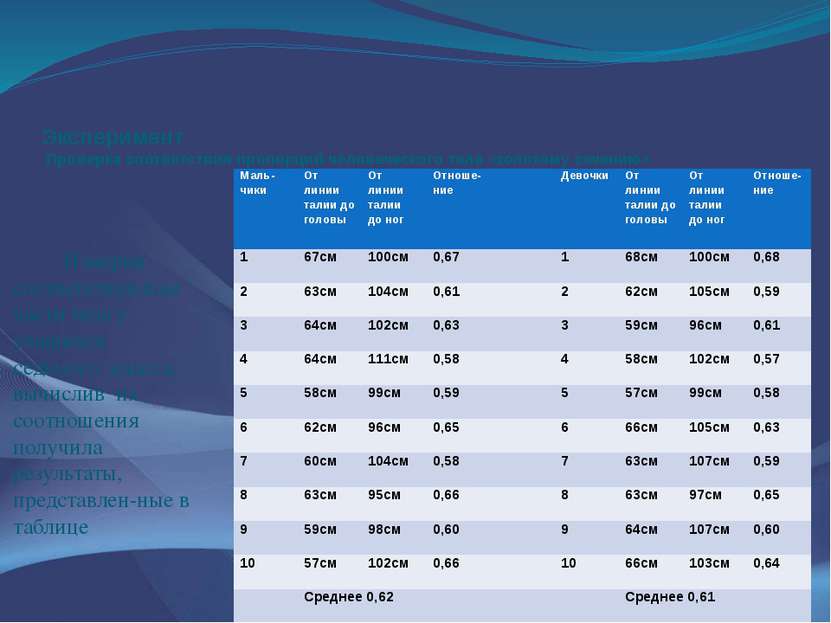 Эксперимент Проверка соответствия пропорций человеческого тела «золотому сече...