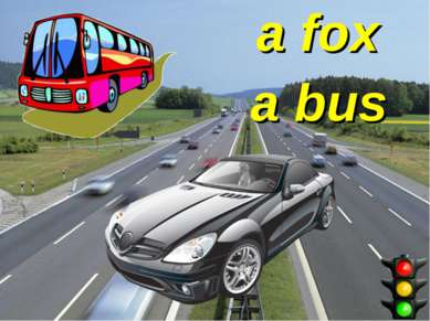 a fox a bus