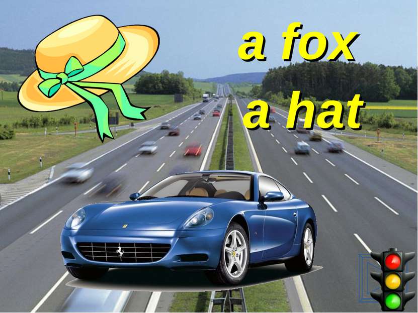 a fox a hat