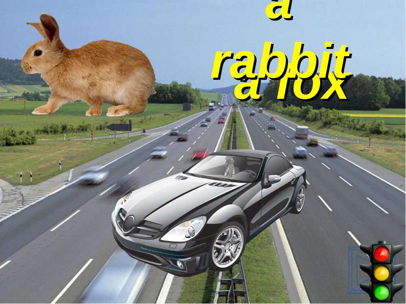 a fox a rabbit