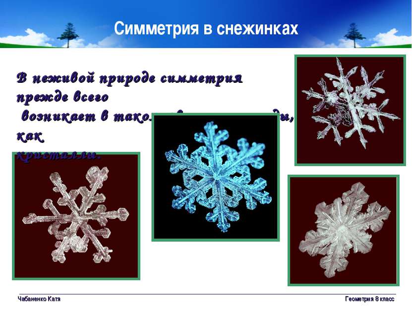 Чабаненко Катя Геометрия 8 класс Симметрия в снежинках В неживой природе симм...