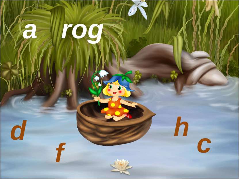 a frog d c h f