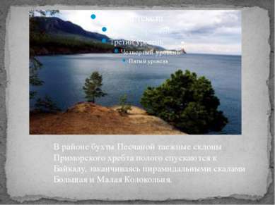 В районе бухты Песчаной таежные склоны Приморского хребта полого спускаются к...