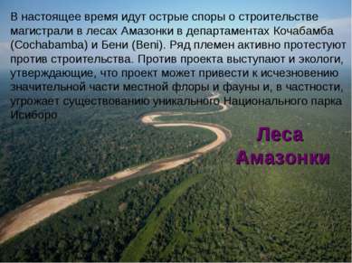 Леса Амазонки В настоящее время идут острые споры о строительстве магистрали ...