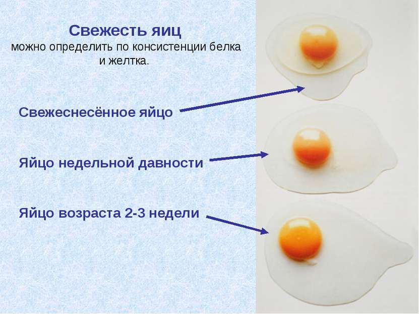 Свежесть яиц можно определить по консистенции белка и желтка. Свежеснесённое ...