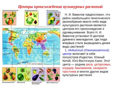 Н. И. Вавилов предположил, что район наибольшего генетического разнообразия к...