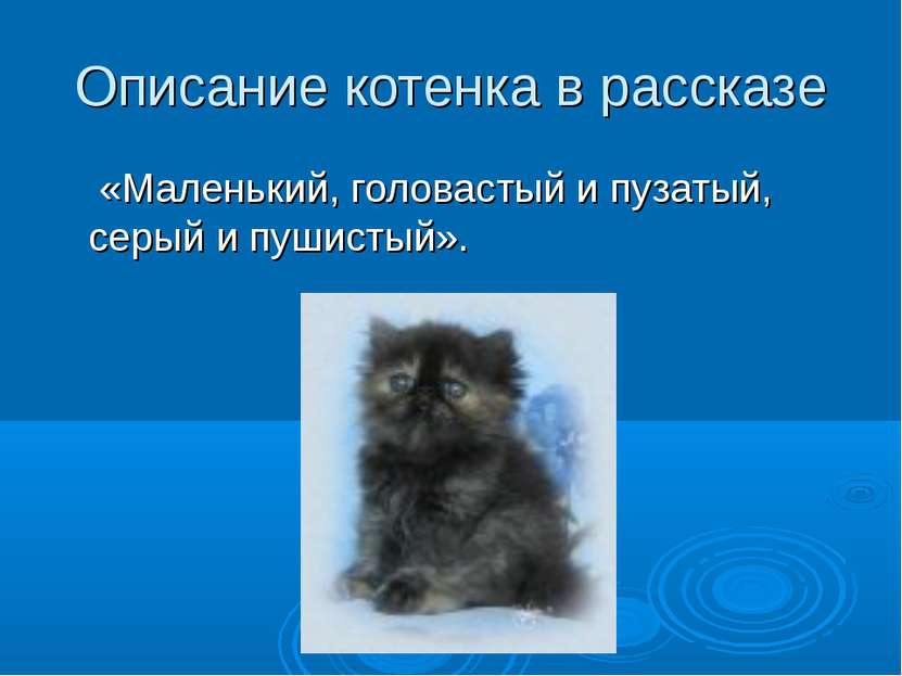 Описание котенка в рассказе «Маленький, головастый и пузатый, серый и пушистый».