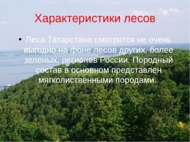 Характеристики лесов Леса Татарстана смотрятся не очень выгодно на фоне лесов...