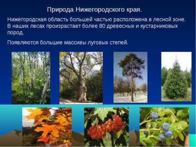Природа Нижегородского края. Нижегородская область большей частью расположена...