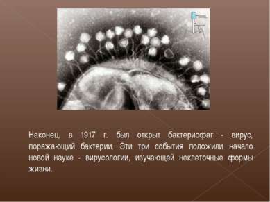 Наконец, в 1917 г. был открыт бактериофаг - вирус, поражающий бактерии. Эти т...