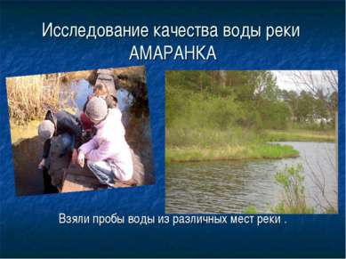 Исследование качества воды реки АМАРАНКА Взяли пробы воды из различных мест р...