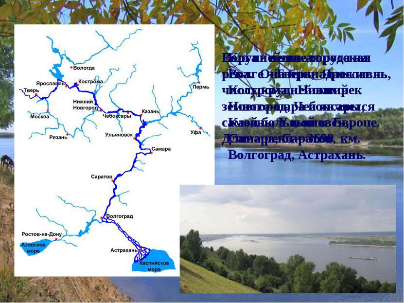 Волга - великая русская река. Она принадлежит к числу крупнейших рек земного ...
