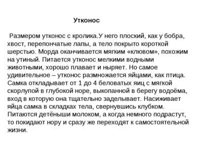 Утконос Размером утконос с кролика.У него плоский, как у бобра, хвост, перепо...