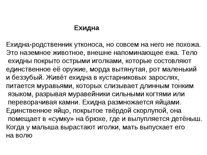 Ехидна Ехидна-родственник утконоса, но совсем на него не похожа. Это наземное...