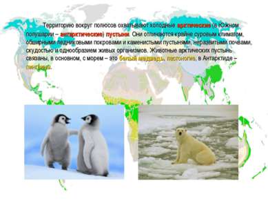 Территорию вокруг полюсов охватывают холодные арктические (в Южном полушарии ...