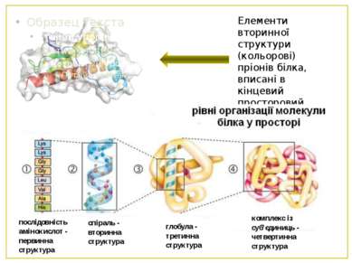 Елементи вторинної структури (кольорові) пріонів білка, вписані в кінцевий пр...