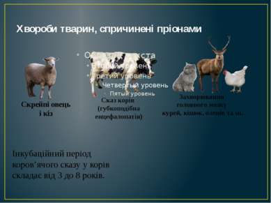 Хвороби тварин, спричинені пріонами Скрейпі овець і кіз Сказ корів (губкоподі...