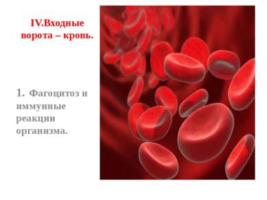 IV. Входные ворота – кровь. 1. Фагоцитоз и иммунные реакции организма.