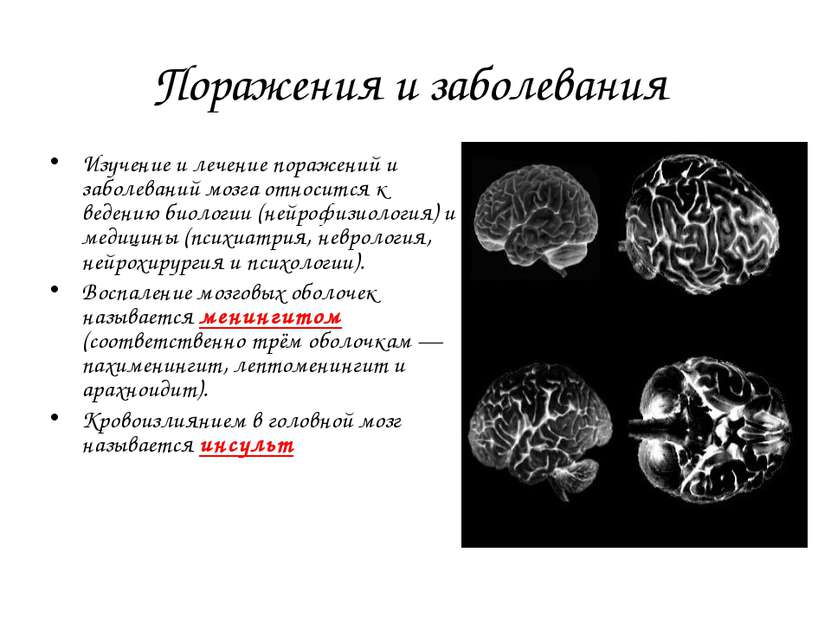 Поражения и заболевания Изучение и лечение поражений и заболеваний мозга отно...