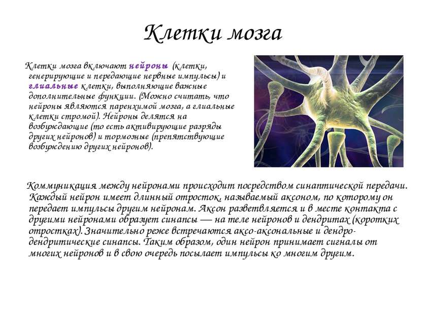 Клетки мозга Клетки мозга включают нейроны (клетки, генерирующие и передающие...