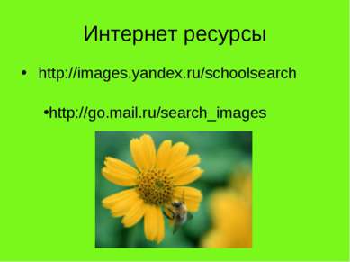 Интернет ресурсы http://images.yandex.ru/schoolsearch http://go.mail.ru/searc...