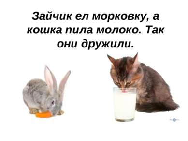 Зайчик ел морковку, а кошка пила молоко. Так они дружили.