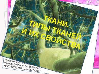 Презентация по биологии учитель биологии Голубева С.В. МКОУ СОШ №4 г. Лесосиб...