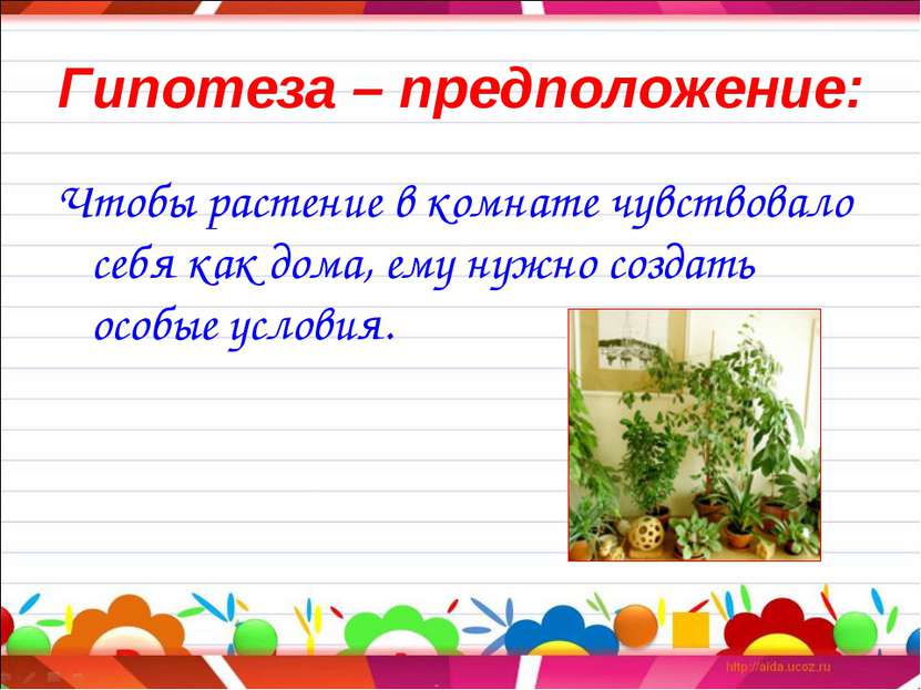 Гипотеза – предположение: Чтобы растение в комнате чувствовало себя как дома,...