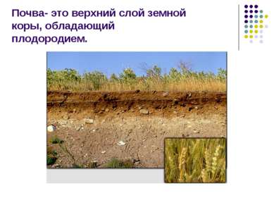 Почва- это верхний слой земной коры, обладающий плодородием.
