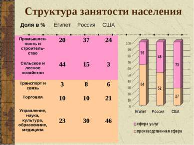 Структура занятости населения Доля в % Египет Россия США Промышлен-ность и ст...