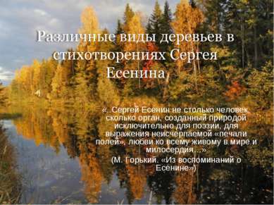 «..Сергей Есенин не столько человек, сколько орган, созданный природой исключ...