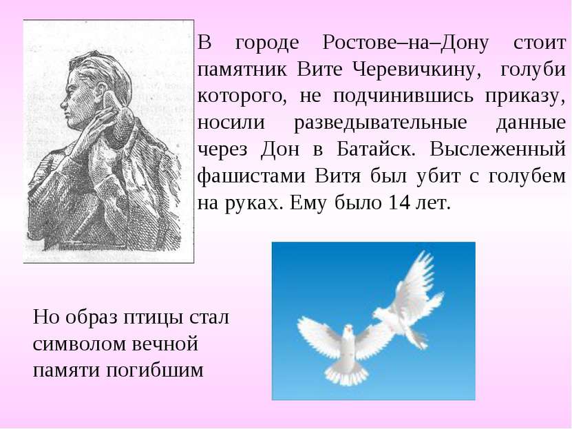 В городе Ростове–на–Дону стоит памятник Вите Черевичкину, голуби которого, не...