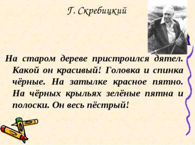 Г. Скребицкий На старом дереве пристроился дятел. Какой он красивый! Головка ...