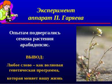 Эксперимент аппарат П. Гаряева Опытам подвергались семена растения арабидопси...