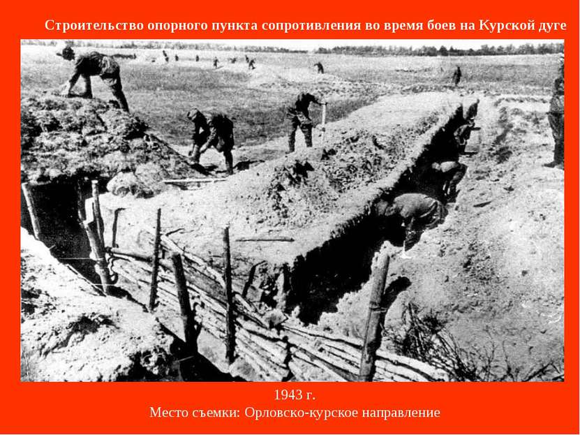 Строительство опорного пункта сопротивления во время боев на Курской дуге 194...