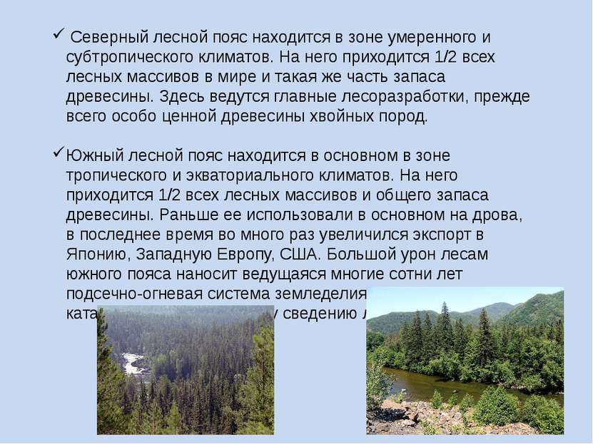 Северный лесной пояс находится в зоне умеренного и субтропического климатов. ...