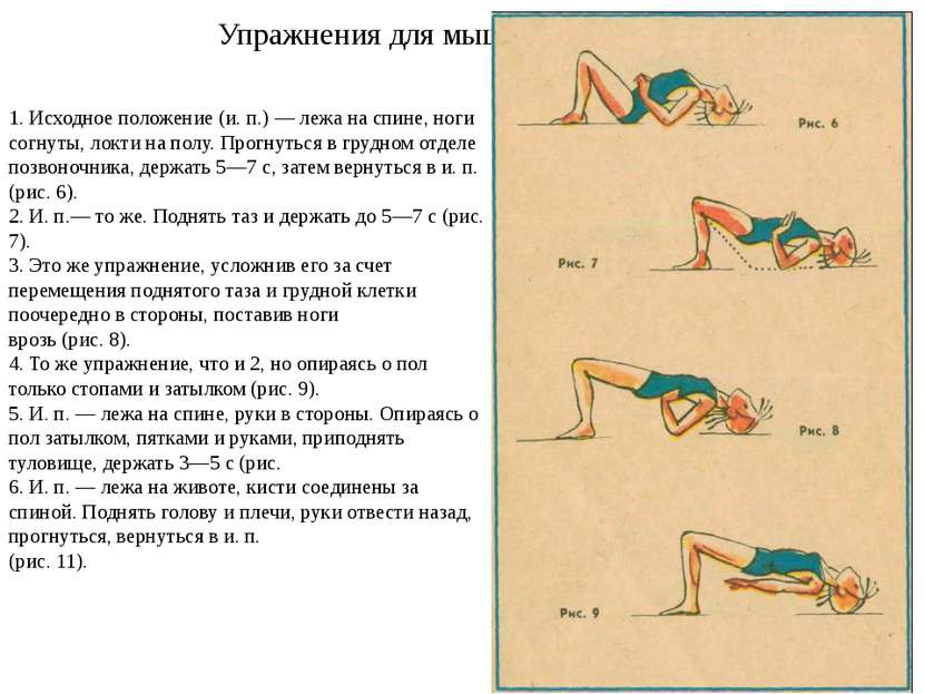 Упражнения для мышц спины 1. Исходное положение (и. п.) — лежа на спине, ноги...