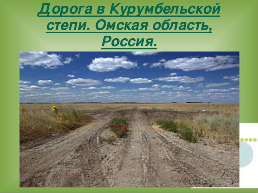 Дорога в Курумбельской степи. Омская область, Россия.