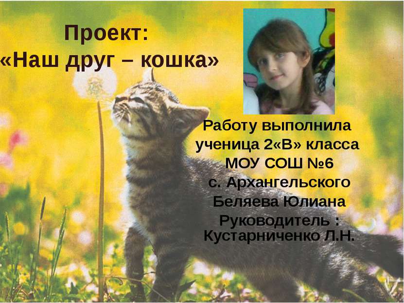 Проект: «Наш друг – кошка» Работу выполнила ученица 2«В» класса МОУ СОШ №6 с....