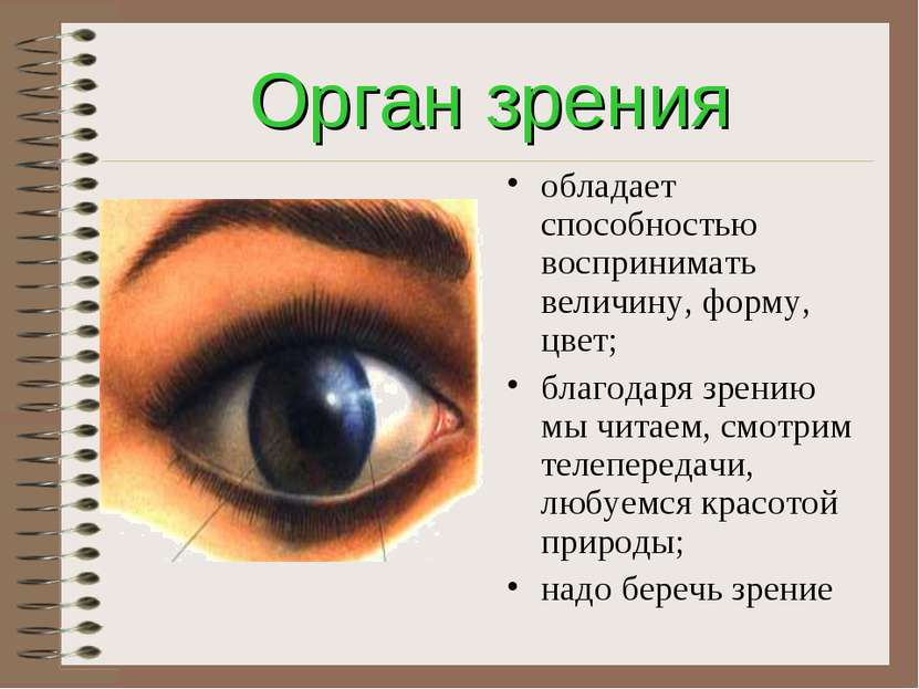 Орган зрения обладает способностью воспринимать величину, форму, цвет; благод...