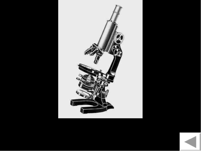 Микроскоп 11