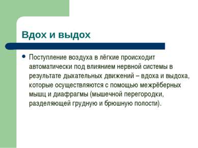 Вдох и выдох Поступление воздуха в лёгкие происходит автоматически под влияни...