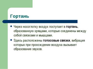 Гортань Через носоглотку воздух поступает в гортань, образованную хрящами, ко...