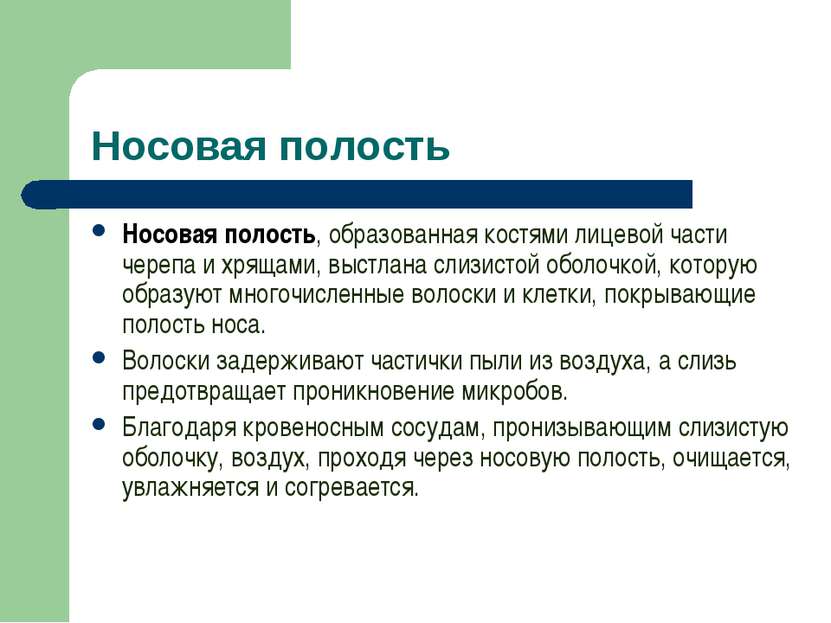 Носовая полость Носовая полость, образованная костями лицевой части черепа и ...