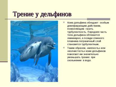 Трение у дельфинов Кожа дельфина обладает особым демпфирующим действием, позв...
