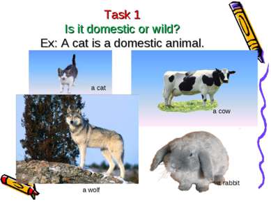 Task 1 Is it domestic or wild? Ex: A cat is a domestic animal. a cat a cow a ...